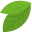 _1